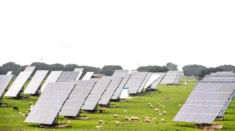 Comment l'agrivoltaïsme réconcilie innovation énergétique et préservation agricole dans la Vienne ?