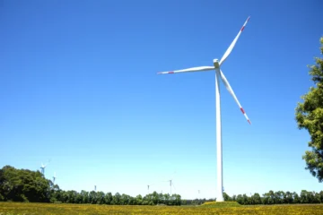 L'énergie renouvelable : Comment la Chine et l'Occident transforment le futur énergétique pour un monde durable