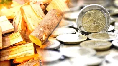 Anticipez Vos Achats et Réduisez Vos Factures de Bois de Chauffage avec Ces Astuces Simples