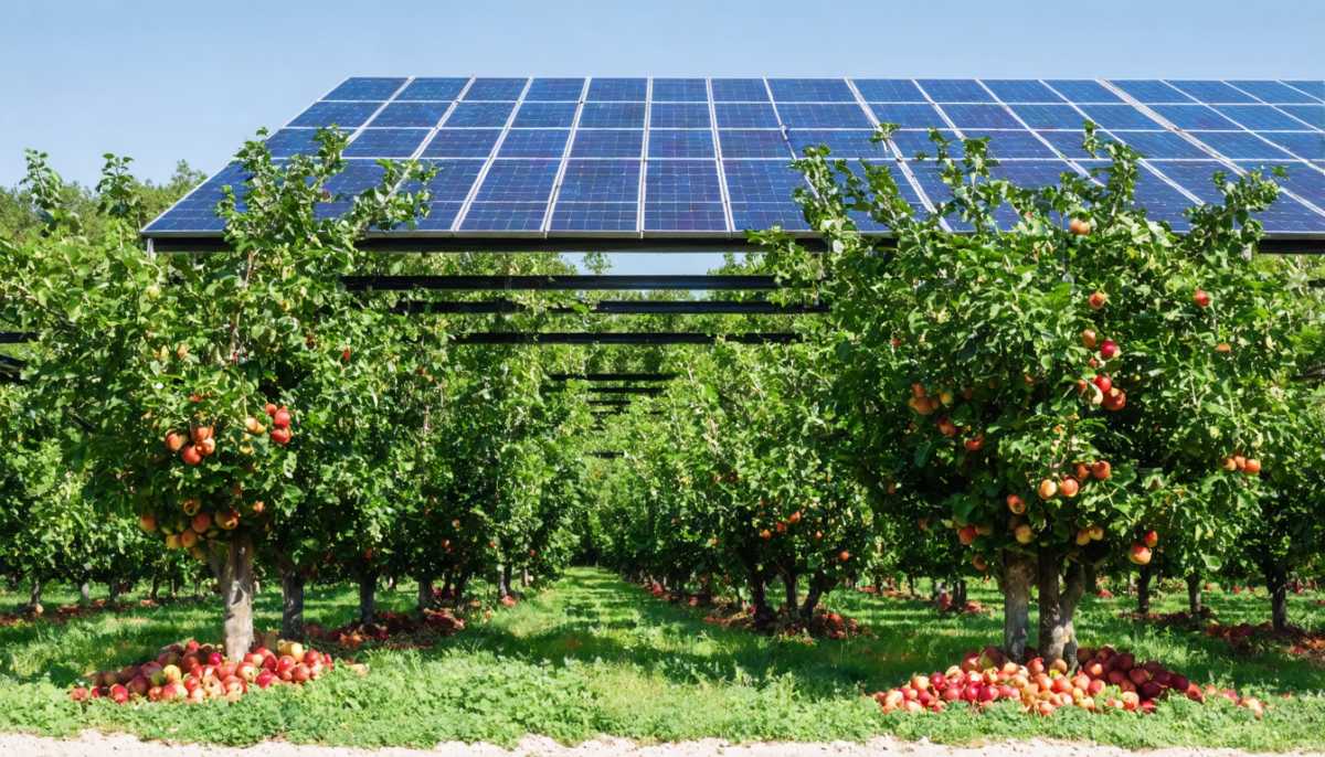 découvrez comment le parc photovoltaïque libaros s'apprête à franchir sa dernière étape pour une énergie renouvelable et durable.